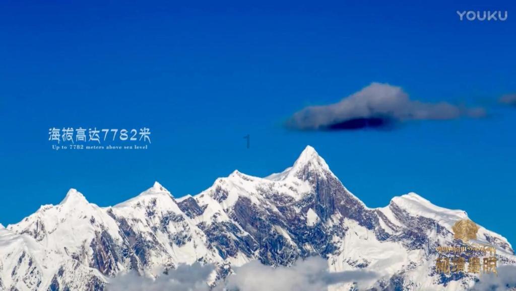 时尚可爱的准妈妈